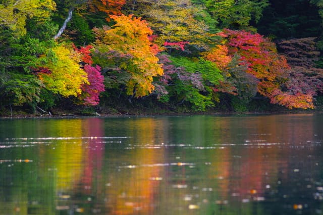 中禅寺湖の秋